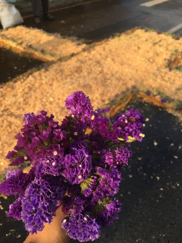 Purple Lent Flowers and Alfombra - Guatemala
